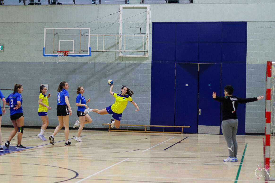 Irish Olympic Handball Senior League